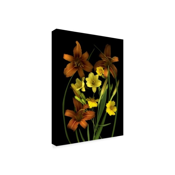 Susan S. Barmon 'Lilies And Coreopsis' Canvas Art,14x19